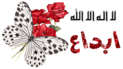 حمامة كتب على جناحها اسم الله عز وجل والجناح اسم محمد ( ص) 9923